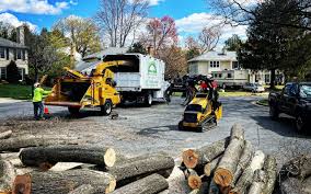 Best Utility Line Clearance  in West, TX